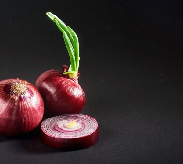 Onion